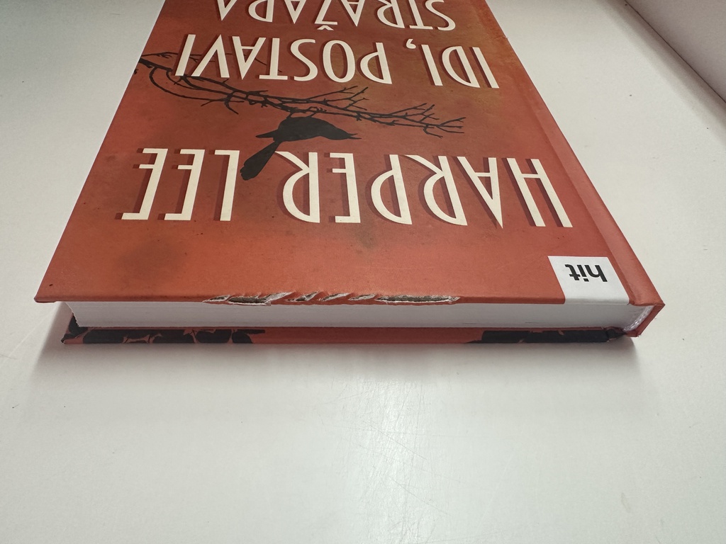 IDI, POSTAVI STRAŽARA