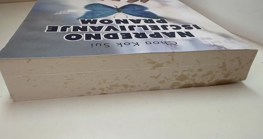 NAPREDNO ISCJELJIVANJE PRANOM.webp