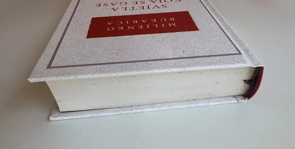 SVJETLA KOJA SE GASE.webp