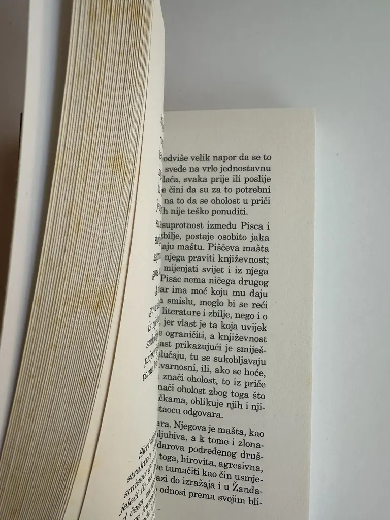 UVOD U MARINKOVIĆEVU PROZU (1).webp