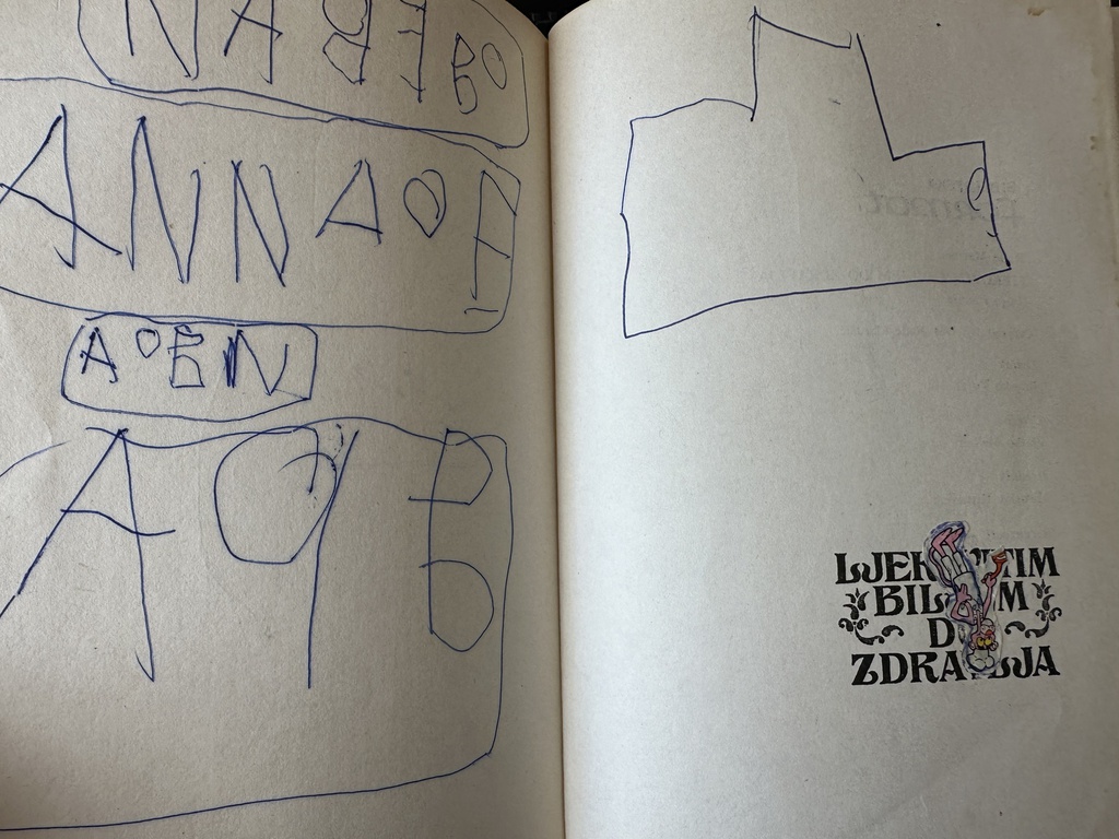 LJEKOVITIM BILJEM DO ZDRAVLJA