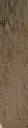 IMG_1119 (1).webp
