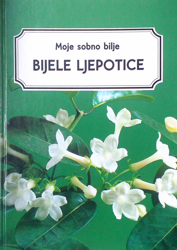 BIJELE LJEPOTICE