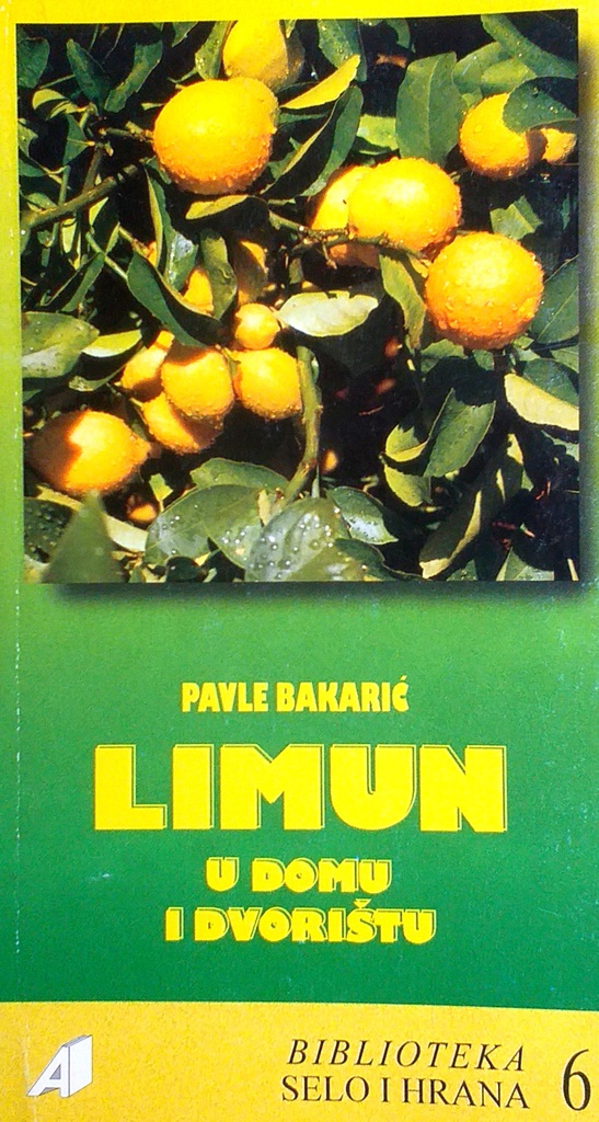 LIMUN U DOMU I DVORIŠTU