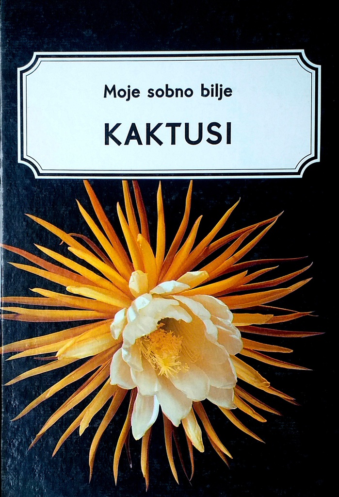 KAKTUSI