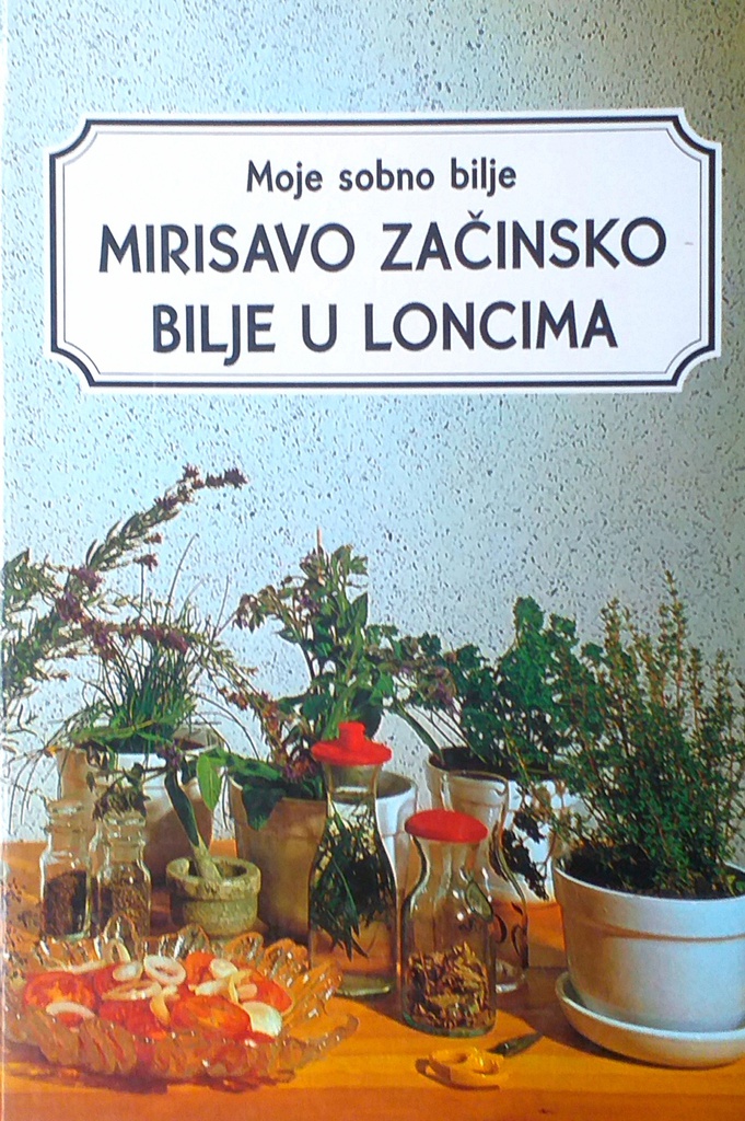 MIRISAVO ZAČINSKO BILJE U LONCIMA