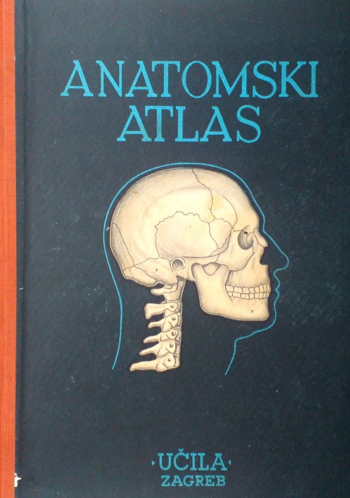 ANATOMSKI ATLAS