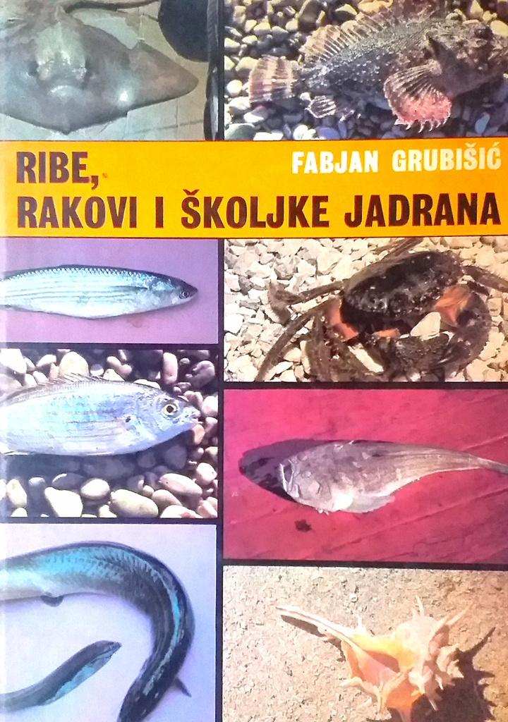 RIBE, RAKOVI I ŠKOLJKE JADRANA