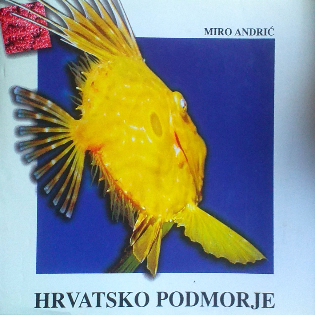 HRVATSKO PODMORJE