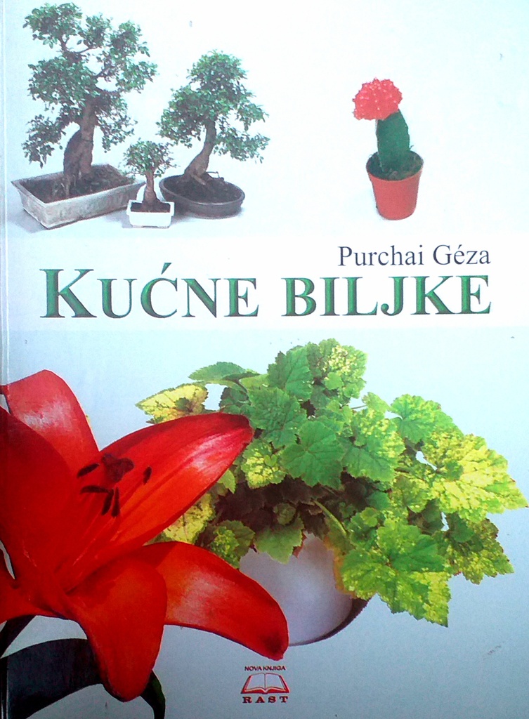 KUĆNE BILJKE