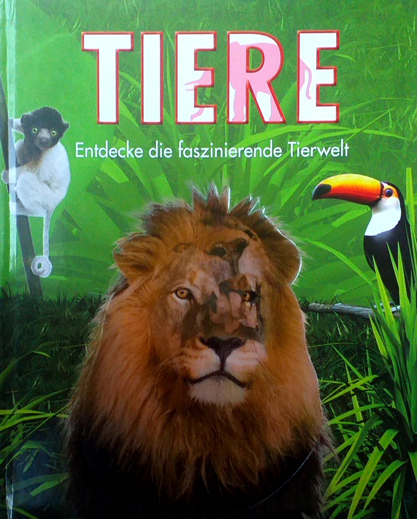 TIERE
