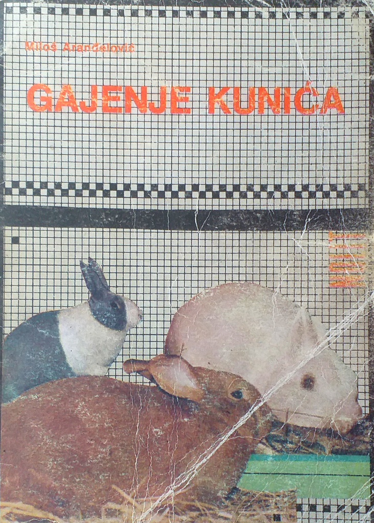 GAJENJE KUNIĆA