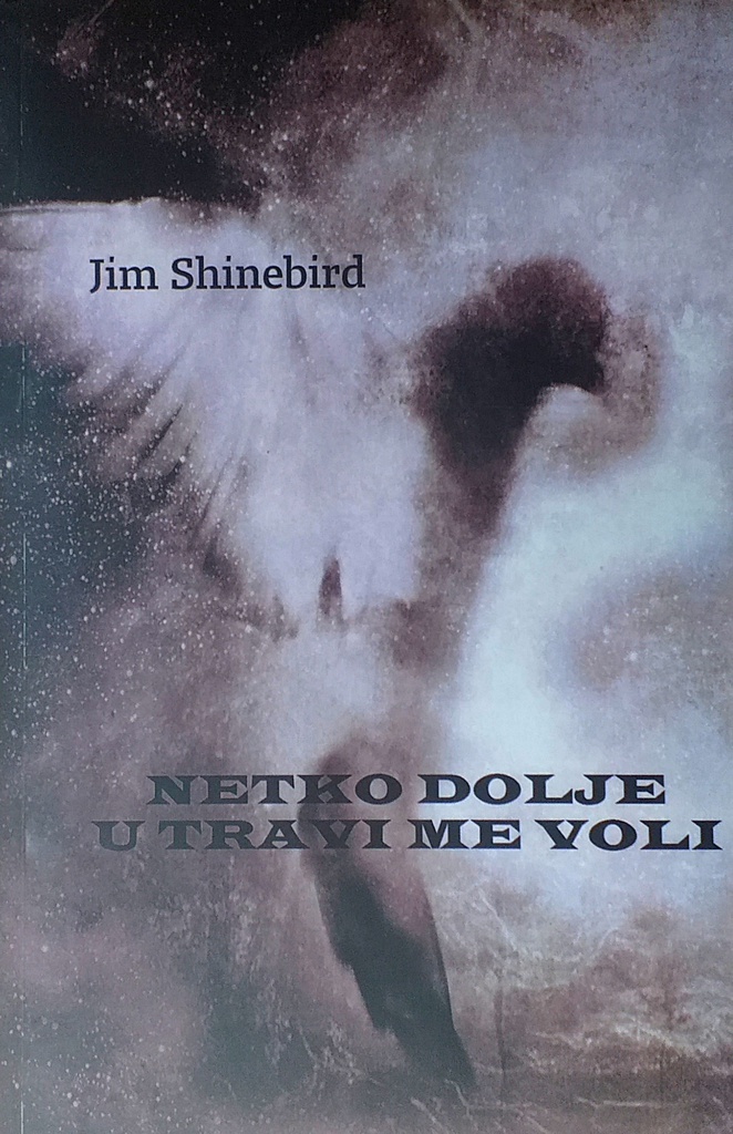 NETKO DOLJE U TRAVI ME VOLI