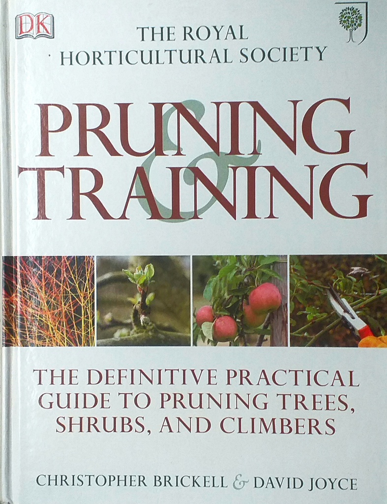 PRUNING TRAINING