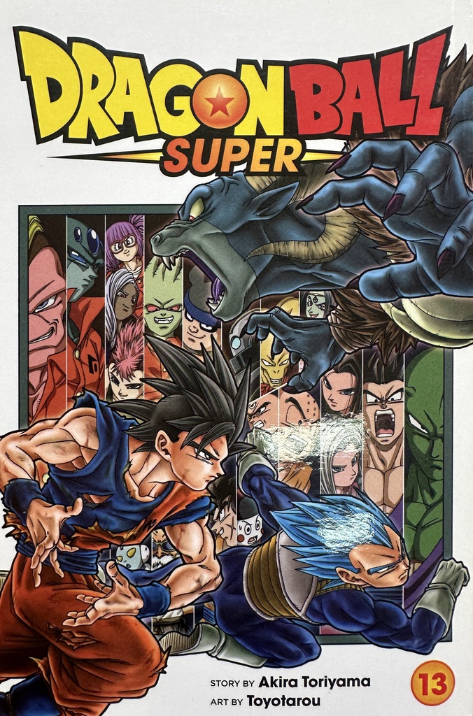 DRAGONBALL SUPER 13