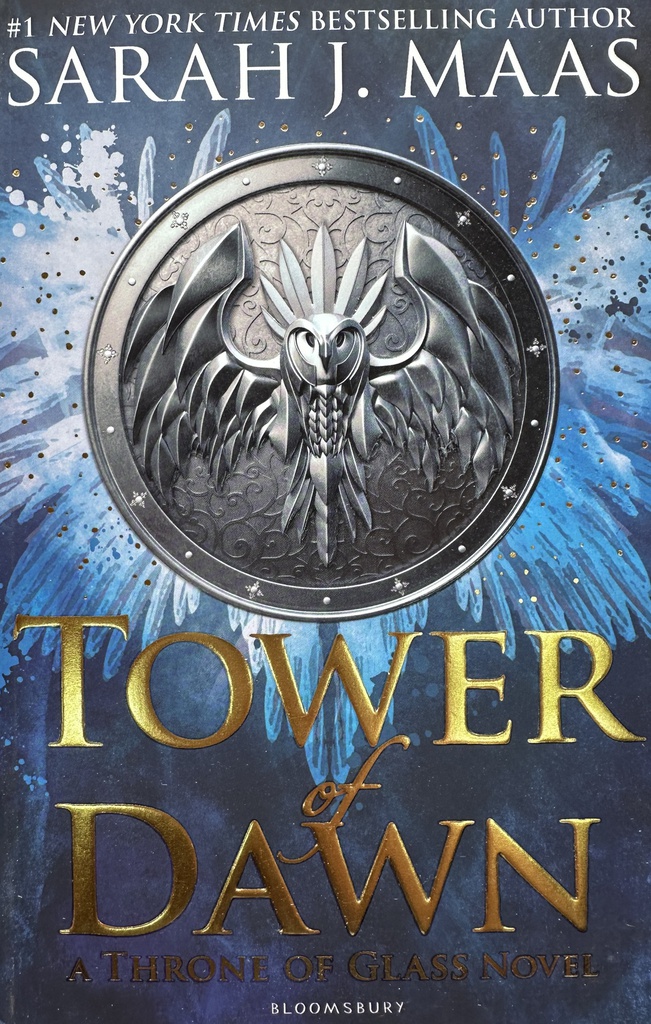 TOWER OF DAWN