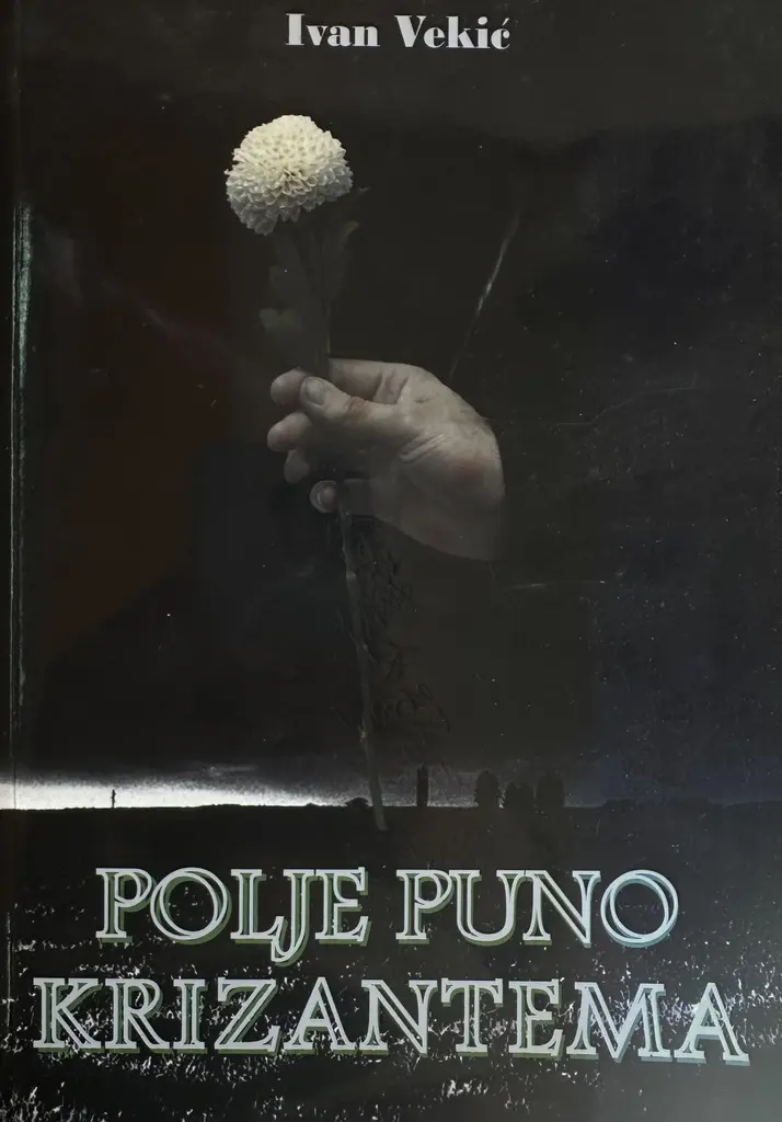 POLJE PUNO KRIZANTEMA