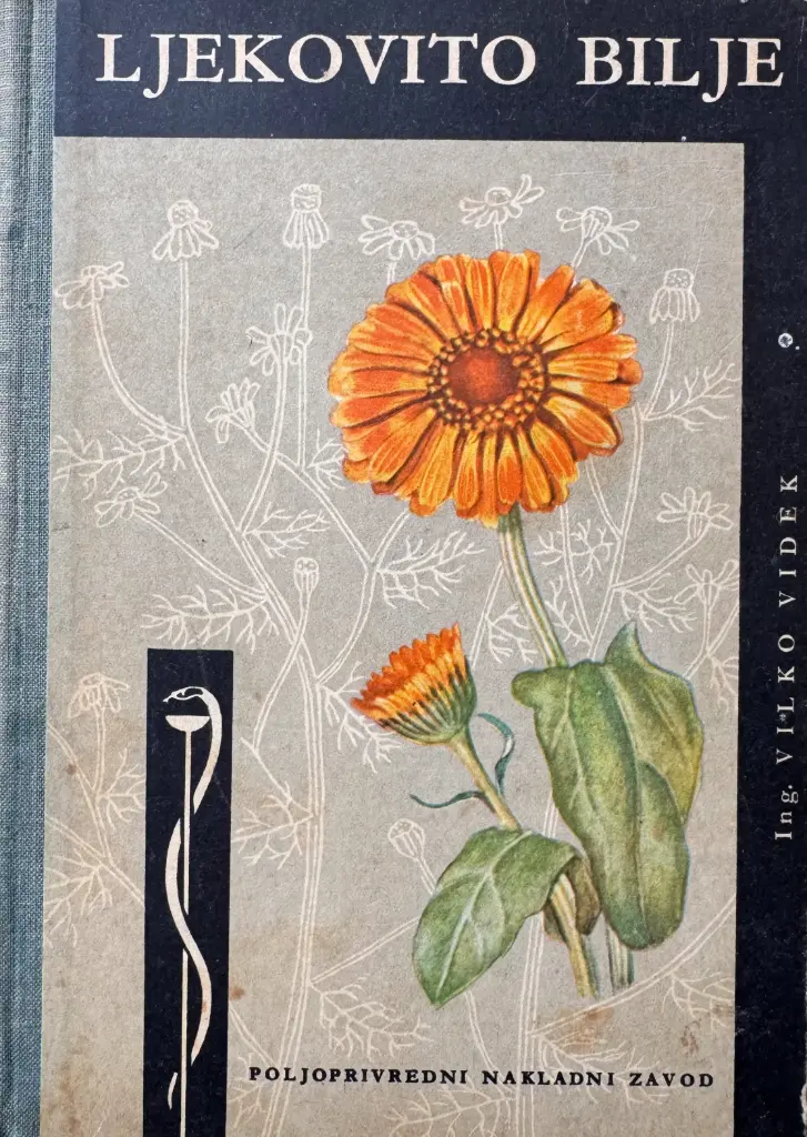 LJEKOVITO BILJE
