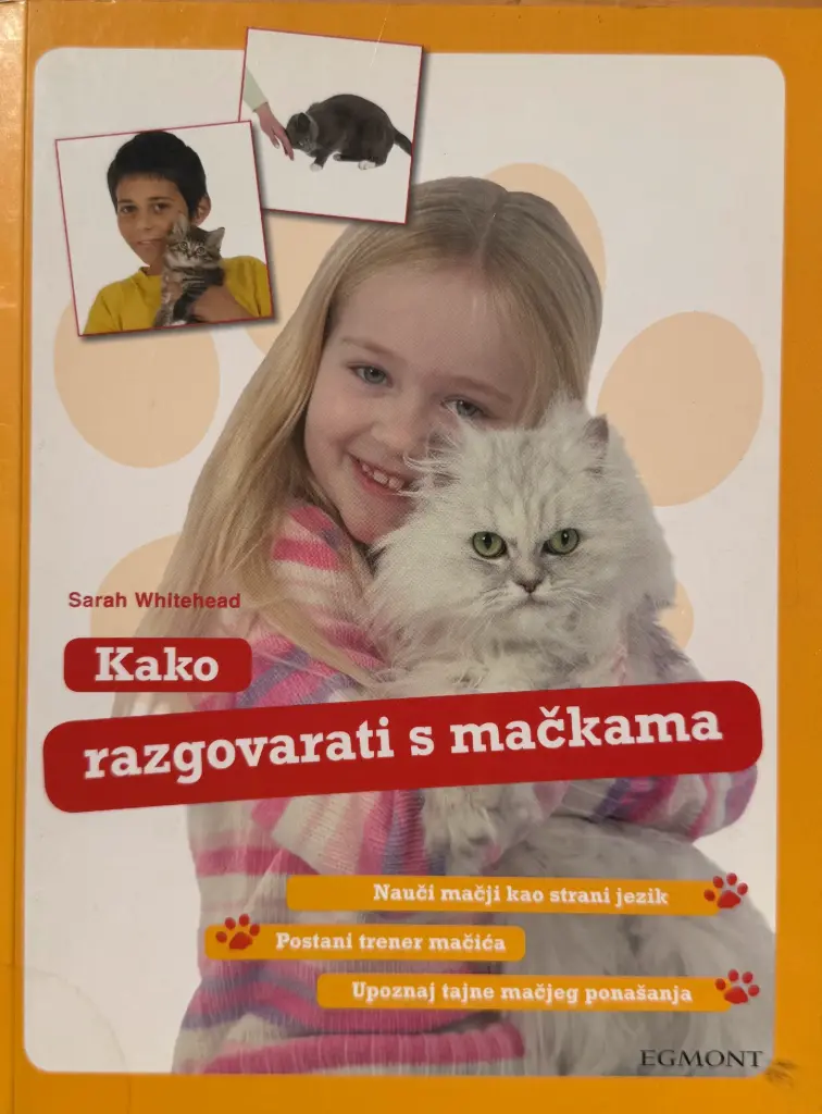 KAKO RAZGOVARATI S MAČKAMA