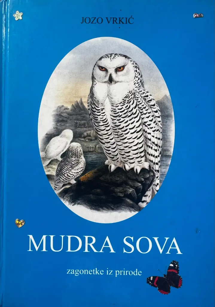 MUDRA SOVA