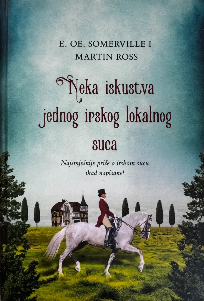 NEKA ISKUSTVA JEDNOG IRSKOG LOKALNOG SUCA