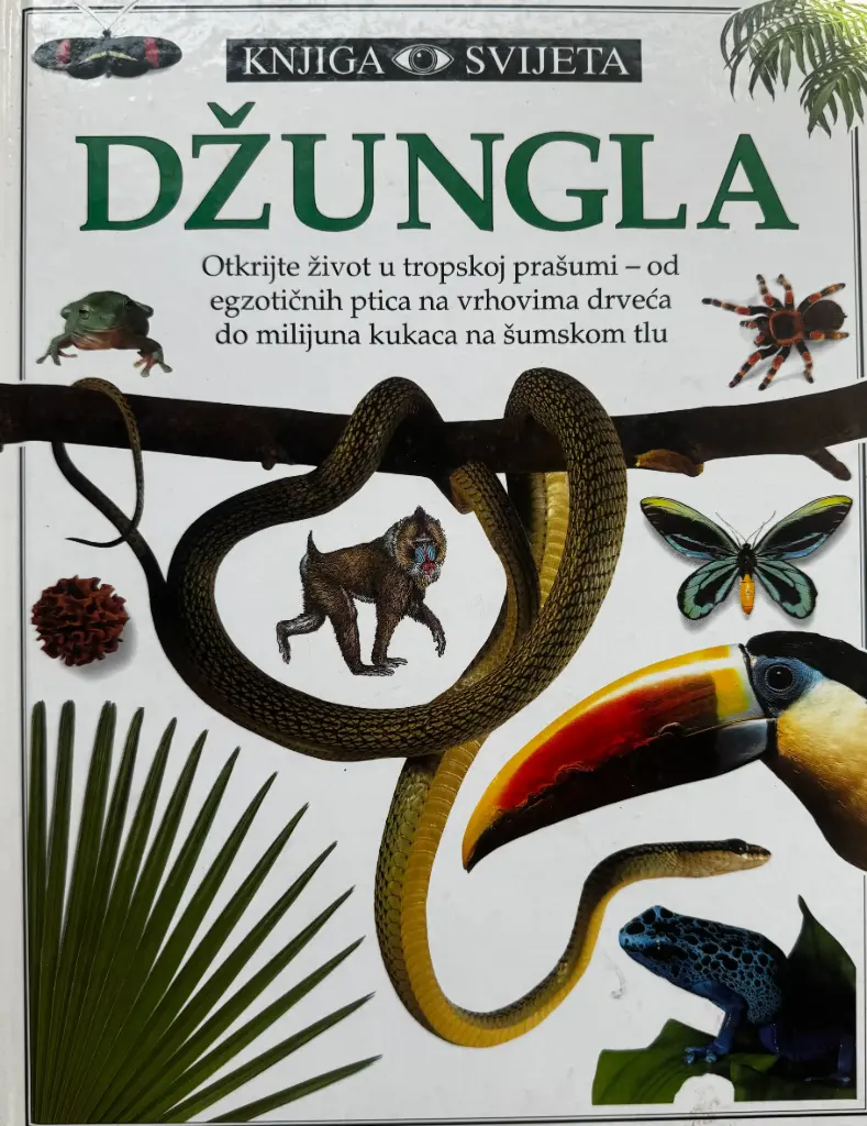 DŽUNGLA
