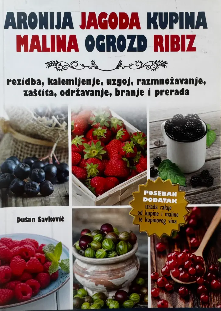 ARONIJA JAGODA KUPINA MALINA OGROZD RIBIZ