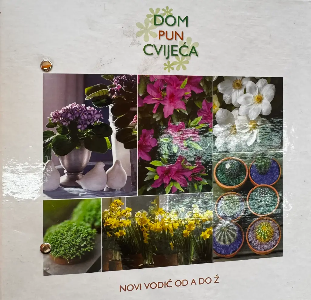 DOM PUN CVIJEĆA: NOVI VODIČ OD A DO Ž