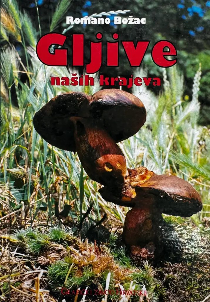 GLJIVE NAŠIH KRAJEVA