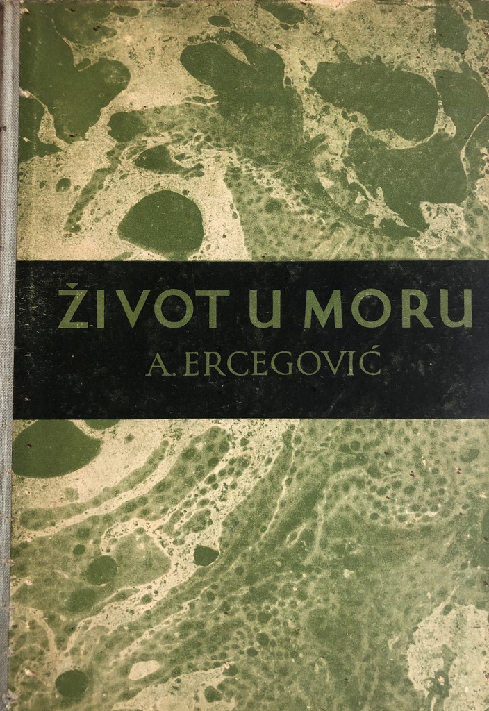 ŽIVOT U MORU