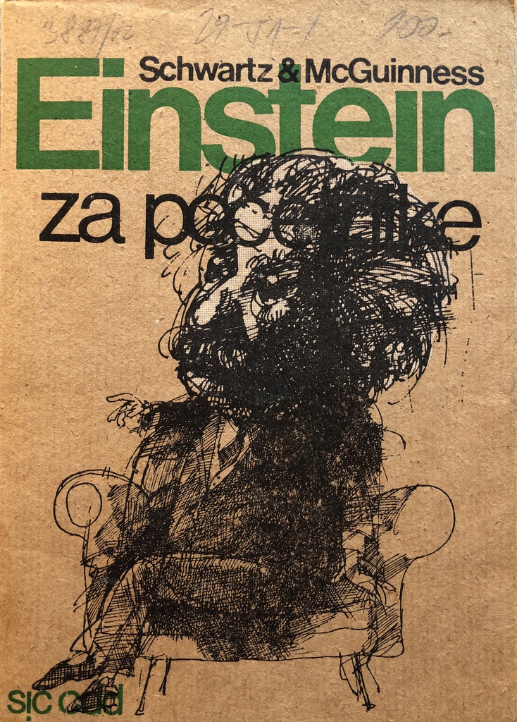 EINSTEIN ZA POČETNIKE