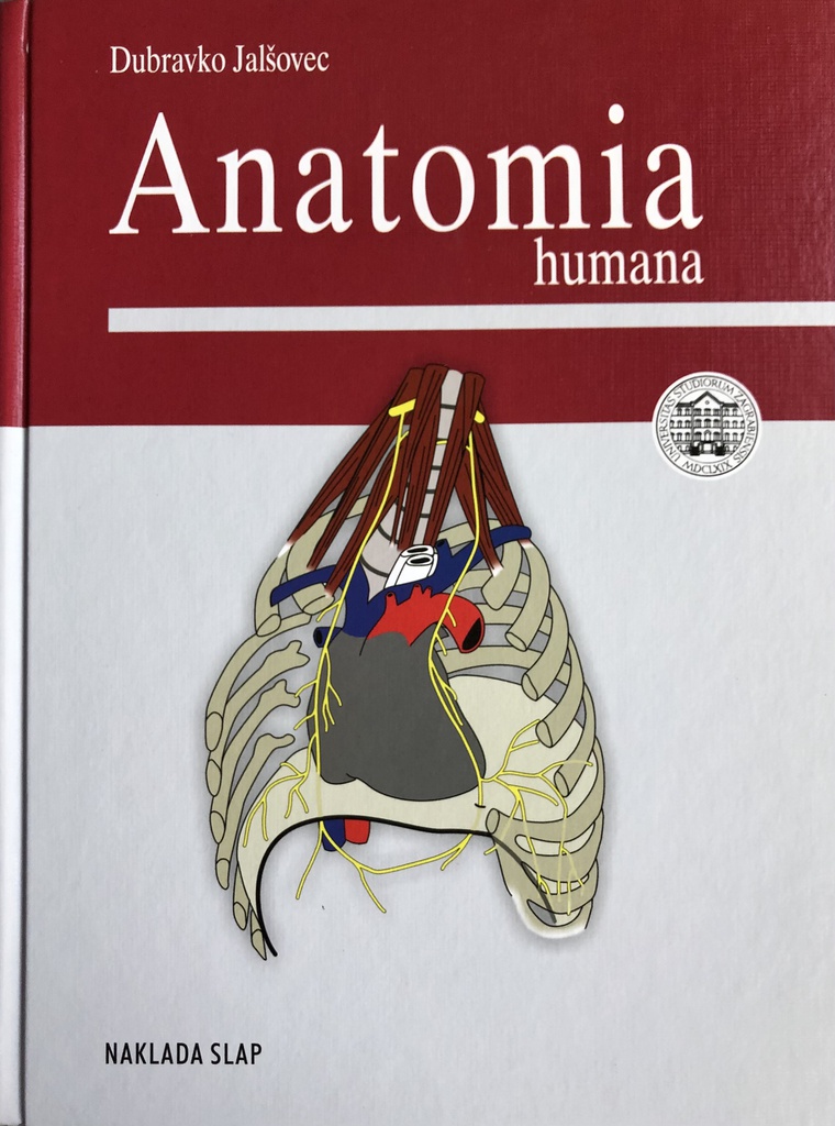 ANATOMIA HUMANA