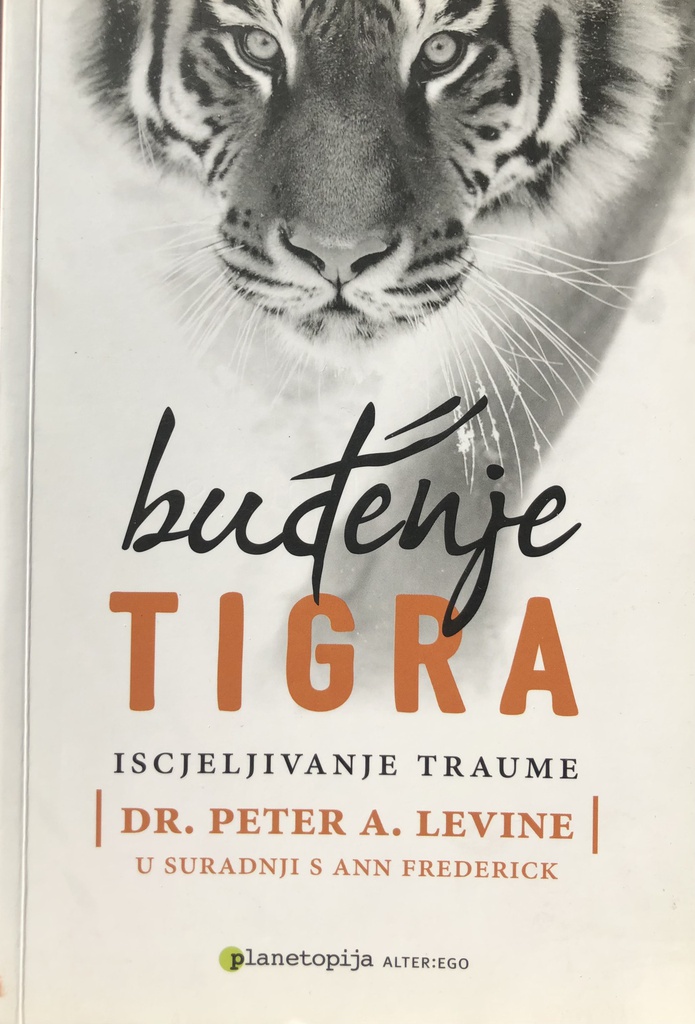 BUĐENJE TIGRA