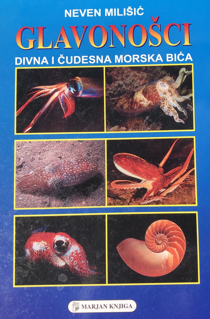 GLAVONOŠCI DIVNA I ČUDESNA MORSKA BIĆA