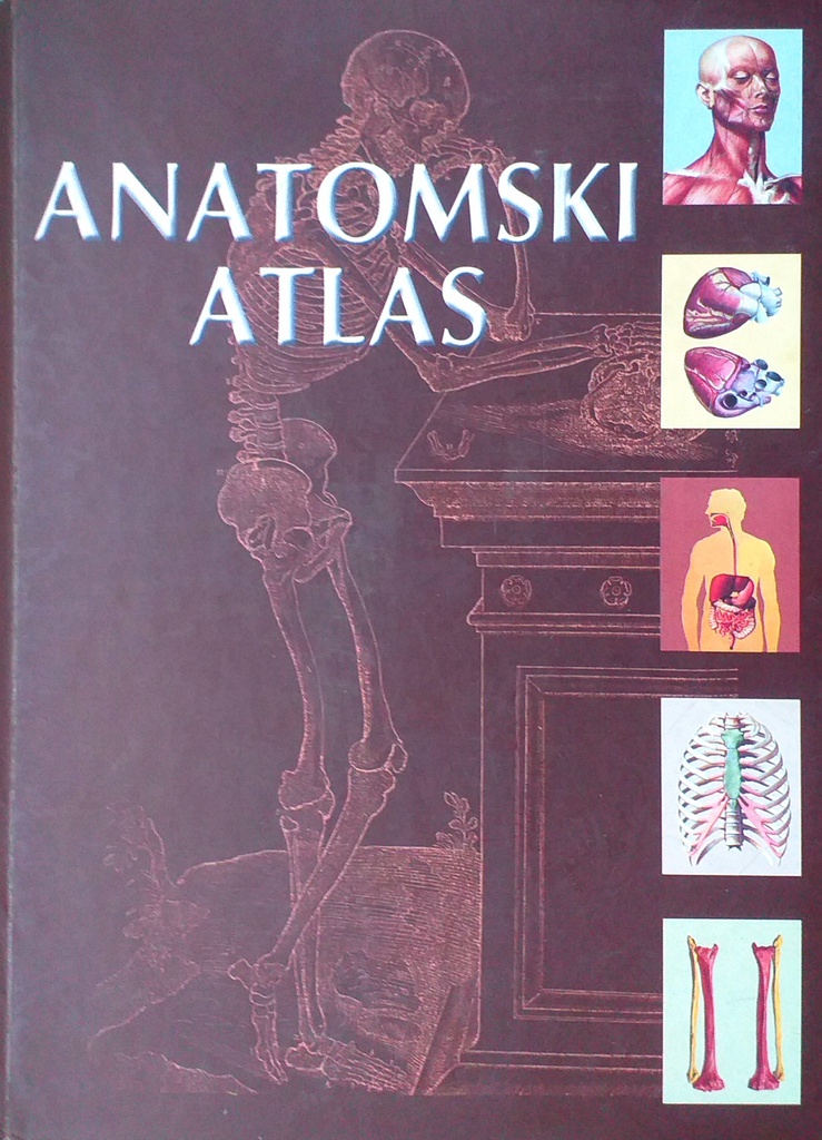 ANATOMSKI ATLAS