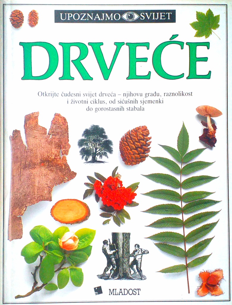 UPOZNAJMO SVIJET - DRVEĆE