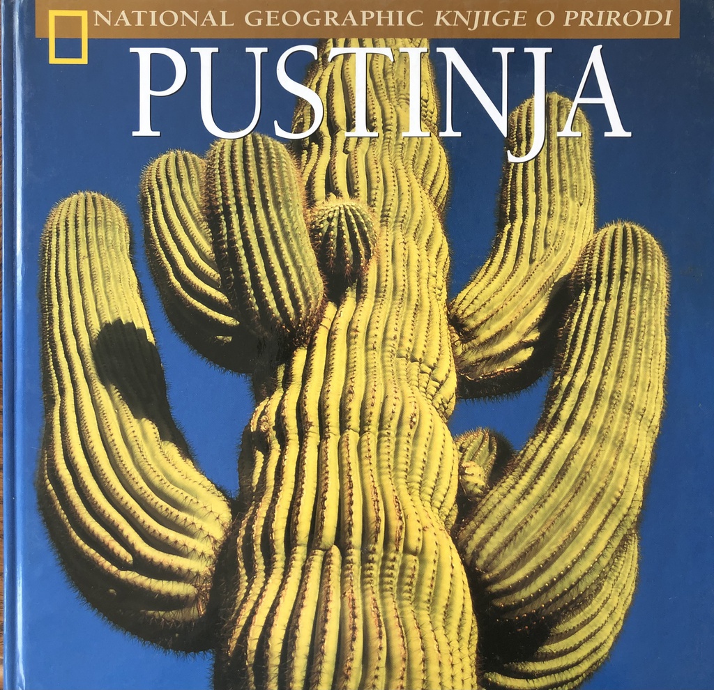 PUSTINJA