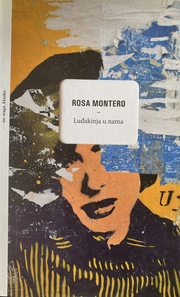 LUĐAKINJA U NAMA