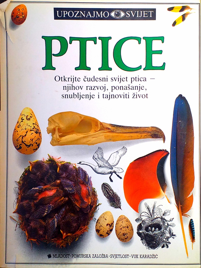 UPOZNAJMO SVIJET- PTICE