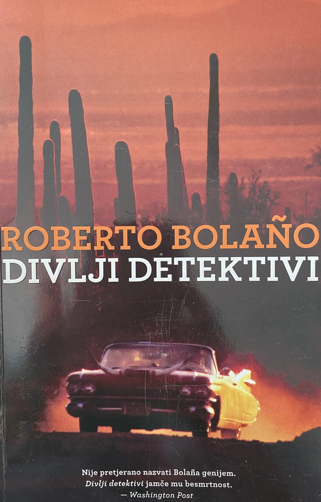 DIVLJI DETEKTIVI