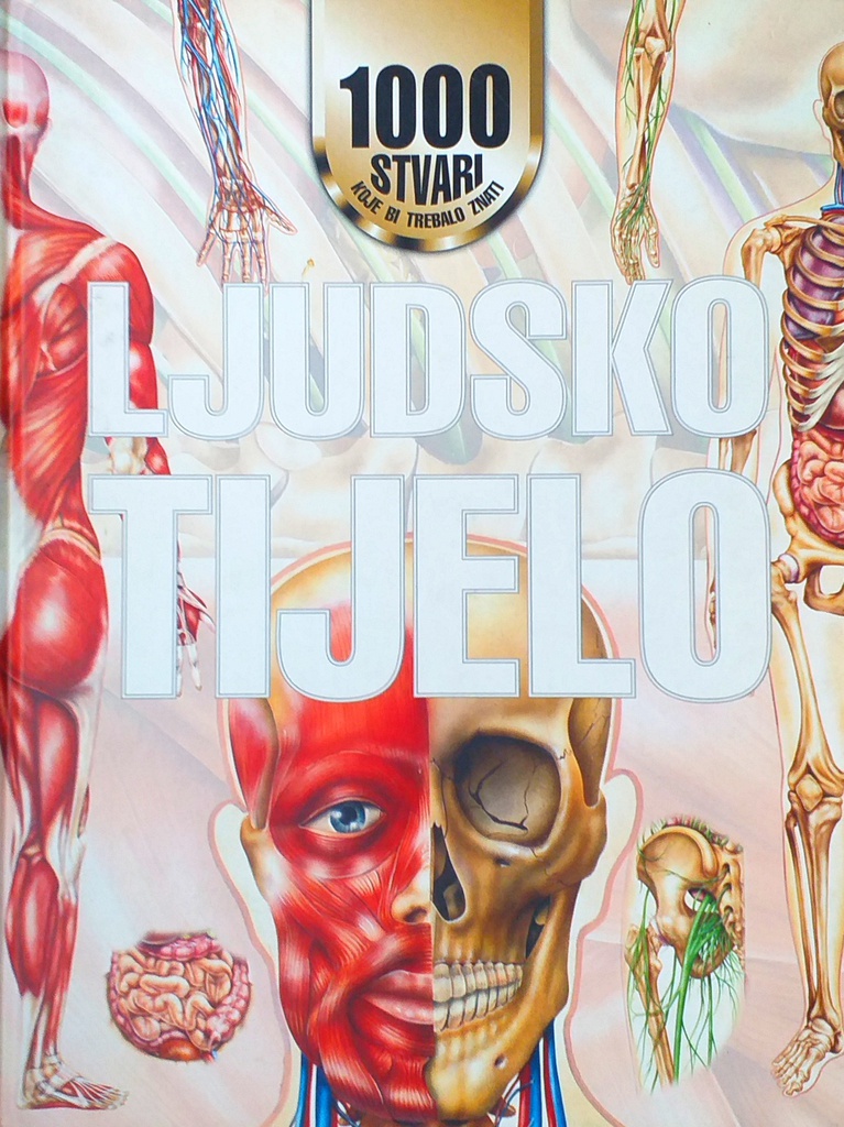LJUDSKO TIJELO