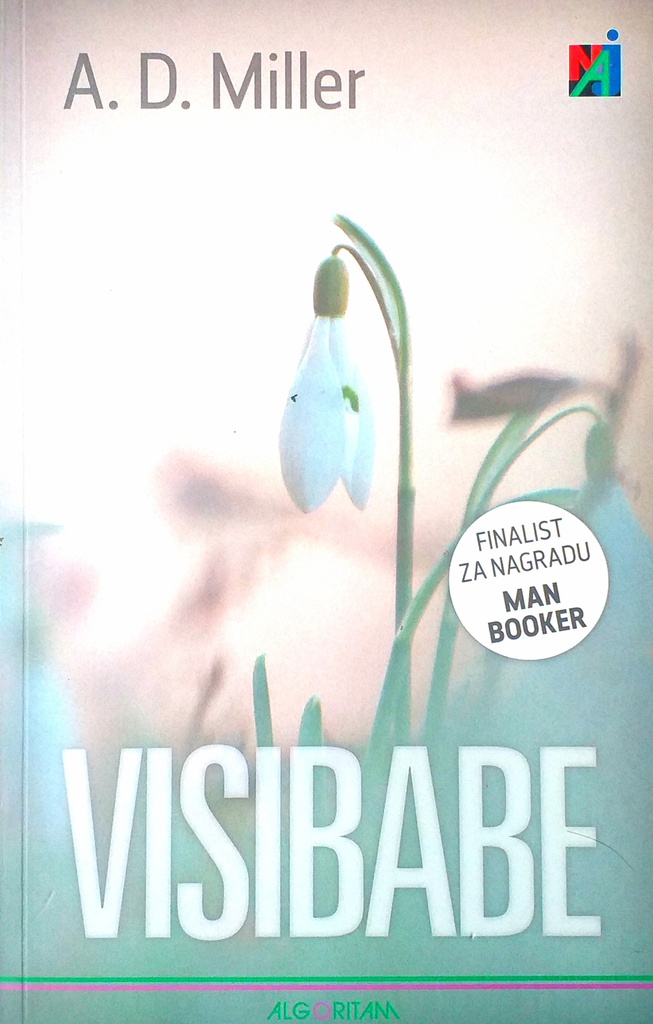 VISIBABE
