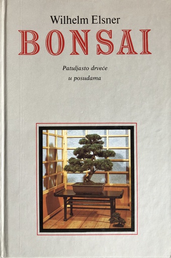 [A-11-3A] BONSAI - PATULJASTO DRVEĆE U POSUDAMA