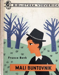 [A-04-6B] MALI BUNTOVNIK