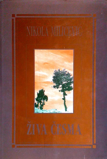 [C-06-2B] ŽIVA ČESMA