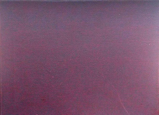 [C-10-1B] SYMPHONIEN