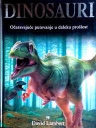 [C-10-1B] DINOSAURI