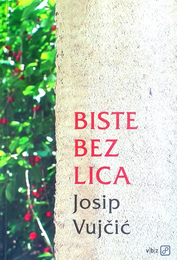 [C-07-4B] BISTE BEZ LICA
