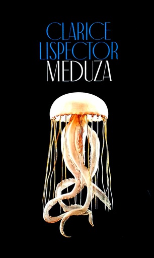 [C-08-3B] MEDUZA