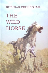[D-01-4B] THE WILD HORSE